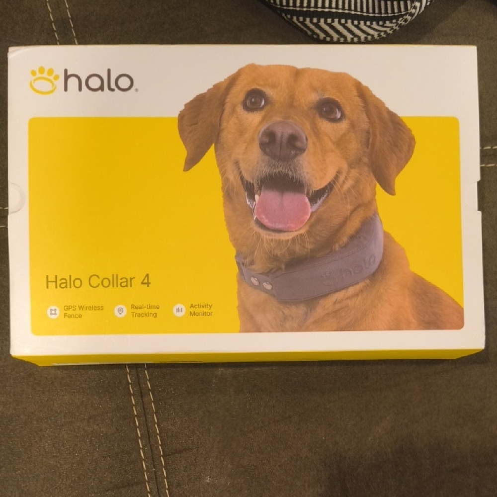 Halo Collar 4 Box with Yellow and White Packaging